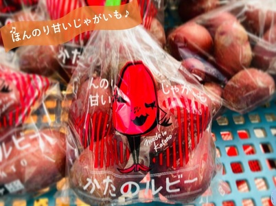 ほのかに甘い かたのルビー (レッドムーン・じゃがいも) 4kg｜野菜 いも じゃがいも 交野市 甘い 赤い皮 産地直送 採れたて 新鮮 [0200]
