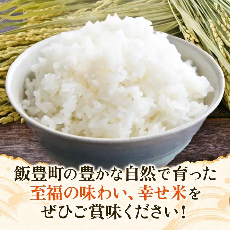 至福の味わい、幸せ米 つや姫10kg - R8年産新米予約 白米 米 ごはん  山形県 飯豊町産
