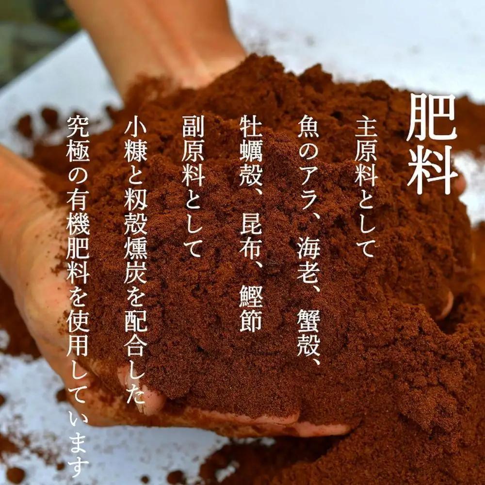 【定期便隔月お届け令和8年新米予約】南魚沼食味コンクール4年連続優秀賞　8割減農薬特別栽培米5kg×6回　南魚沼塩沢産コシヒカリ【2026年9月中旬から1ヶ月以内に順次発送予定】｜コシヒカリ