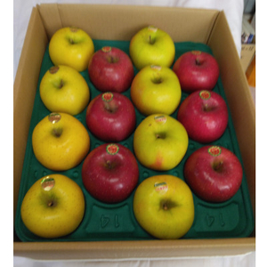 「青森県五戸町産」りんご3種詰め合わせ　約5kg(14～18玉)【配送不可地域：離島・沖縄県】【1137377】