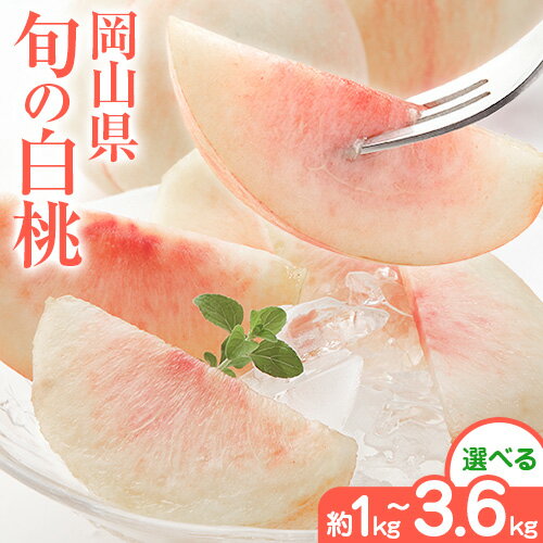 【ふるさと納税】岡山県の旬の白桃 選べる 約1kg 約2kg 約3.6kg【配送不可地域あり】 花田青果株式会社《6月下旬-9月上旬頃出荷予定(土日祝除く)》ふるさと納税 桃 白鳳 桃 岡山 もも ふるさと納税 桃 おすすめ 桃 美味しい 桃 2026 桃 おどろき 楽天 ふるさと納税 桃 岡山