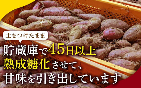 先行予約 熟成紅はるか約10kg サイズバラバラ さつまいも密芋サツマイモ ZCN019