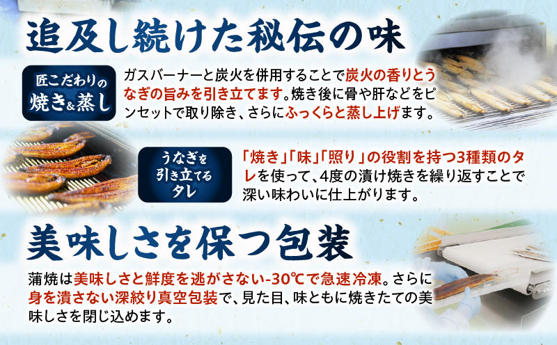 九州産うなぎ蒲焼6尾 計1,020g以上 うなぎ 国産 蒲焼 6尾 人気 おすすめ 冷凍 簡単調理 個包装 魚介 ギフト 贈り物 九州産 鰻楽