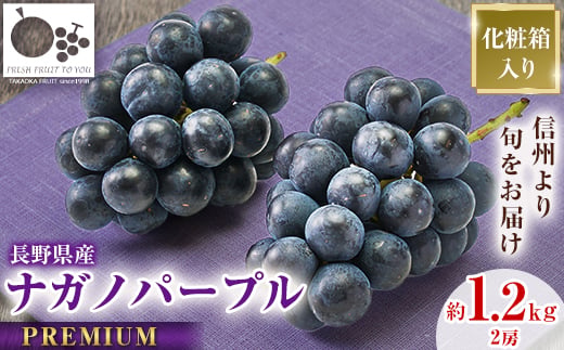 2026年発送「産地より信州中野の旬をお届け」 ナガノパープル　PREMIUM　約1.2kg【1311111】