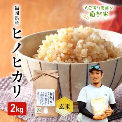 ふるさと納税 小郡市 米 令和6年産 たごもり農園の自然米 ヒノヒカリ 玄米 2kg お米[No5354-2126]