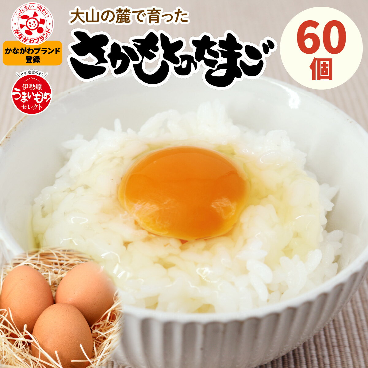 【ふるさと納税】坂本養鶏 大山の麓で育ったさかもとのたまご 60個｜赤玉卵 玉子 鶏卵 産直 卵かけご飯 たまご タマゴ [0088]