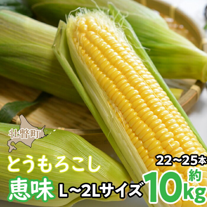 【ふるさと納税】＜2025年8月初旬よりお届け＞約10kg！北海道壮瞥産とうもろこし（恵味）【L〜2Lサイズ 22〜25本】ふるさと納税 人気 おすすめ ランキング トウモロコシ とうもろこし 恵味 野菜 甘い 北海道 壮瞥町 送料無料 SBTP006