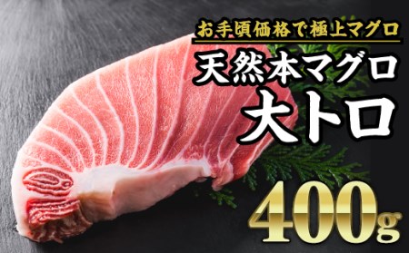 マグロ 天然マグロ 本マグロ 大トロ マグロ刺身 マグロ冷凍 クロマグロ 本マグロ柵 400g CH-f-82
