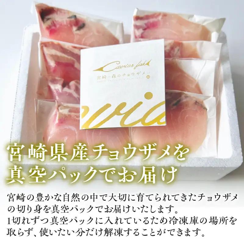 宮崎県産チョウザメの切り身70g×8パックセット 国産 宮崎県産 チョウザメ 切り身 切身 70g 8パック 高タンパク質 タンパク質 魚 冷凍 小分け パック 真空パック 唐揚げ ガーリックソテー