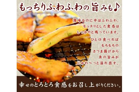 さつま揚げ 20枚入り 5種 セット さつま揚げ