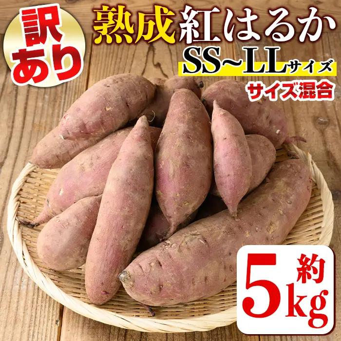 isa521 《訳あり》熟成紅はるか(約5kg・SS～LLサイズ混合) 訳あり さつまいも 紅はるか 鹿児島 生芋 完熟 長期熟成 土付き べにはるか サツマイモ 焼き芋に【いさ工房】