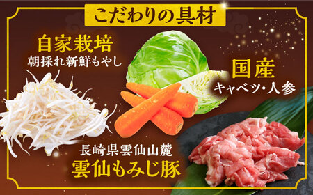 【6回定期便】冷凍 長崎皿うどん 4食 具入り / さらうどん 皿うどん 麺 / 南島原市 / 狩野食品 [SDE019]