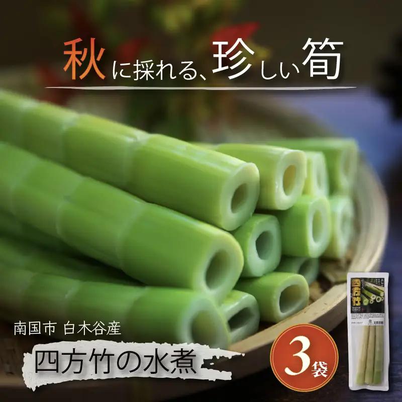 【8月まで 受付限定】 国産 四方竹 水煮 120g × 3袋 (2026年11月～発送) | シホウチク 筍 たけのこ 特産 珍味 希少 高知 南国市