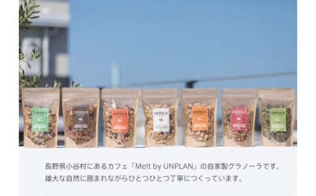 【毎月定期便/年１２回】HAKUBA VALLEY 自家製グラノーラ