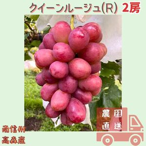 【数量限定】長野県生まれの品種クイーンルージュ(R) ２房