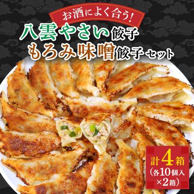 ふるさと納税 八雲町 【毎月定期便】餃子2種セット40個(野菜餃子10個入り×2箱・もろみ味噌餃子10個入り×2箱)全3回