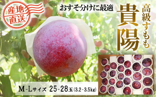【ふるさと納税】※数量限定【2026年発送分】貴陽 大箱（M～Lサイズ）25～28玉（3.2～3.5kg）　すもも プラム スモモ 李 くだもの 果物 山梨 やまなし フルーツ 産地直送 富士川町