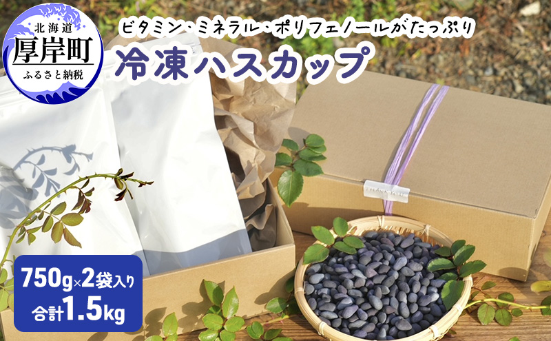厚岸ハスカ 冷凍ハスカップ 2袋（750g×2 計1.5kg） アントシアニン スーパーフード 果実 ビタミン ミネラル 抗酸化作用 ポリフェノール 北海道産 