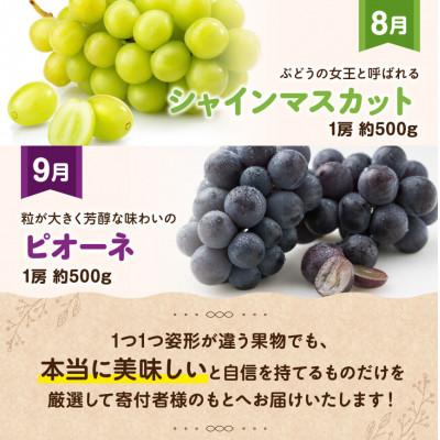 ふるさと納税 川南町 【発送月固定定期便】フルーツ満喫定期便(川南町)全9回 |  | 03