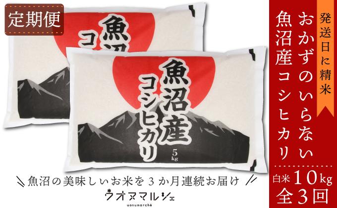 【令和7年産新米】【お米定期便/全３回】 おかずのいらない 魚沼産コシヒカリ　白米１０ｋｇ【2025年９月下旬より順次発送予定】