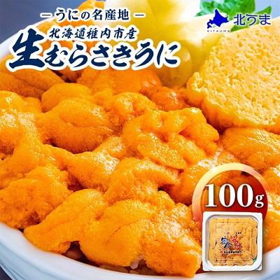 ふるさと納税 稚内市 令和8年発送 先行受付【うにの名産地稚内市】最北端の生むらさきうに(100g×1パック)