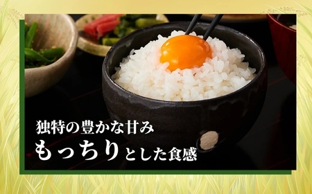 【令和7年産 定期便】新潟県 コシヒカリ「おぢや米」 80kg（10キロ×8回）| コシヒカリ 魚沼 特A