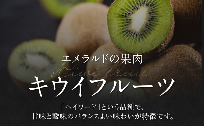 【先行予約】【2026年2月中旬から順次発送】【期間・数量限定】食べ応え抜群！愛媛県産　キウイフルーツ 赤秀4L大玉サイズ （16玉入り） フルーツ キウイ キウイフルーツ デザート 愛媛県大洲市/愛