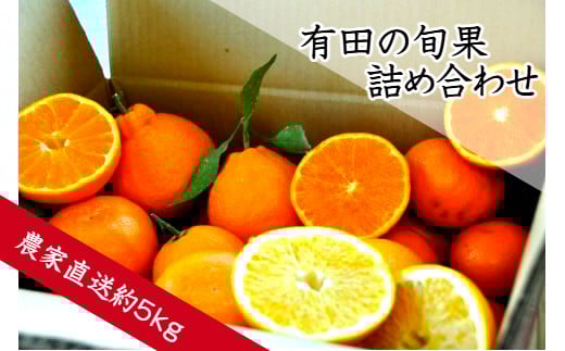 
                  有田の旬果　詰め合わせ(A152-1)
                