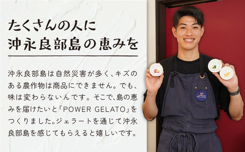 POWER GELATO 沖永良部島産（定番セット12個入り）　W066-001-02