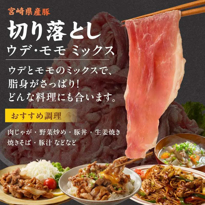 宮崎県産豚バラエティ&国産豚ミンチ3.6kgセット〔AC-N501〕_(都城市) 宮崎県産 ロース バラ しゃぶしゃぶ 切り落とし ウデ・モモ 国産豚 ミンチ