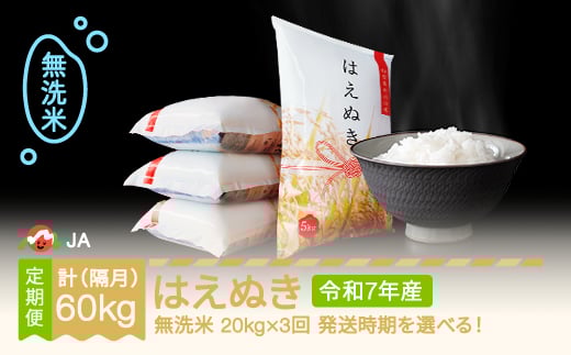 
            【先行予約】 新米 米 はえぬき 隔月定期便 20kg×3回 無洗米 令和7年産 2025年産 山形県村山市産 ja-hamxa20_tk
          