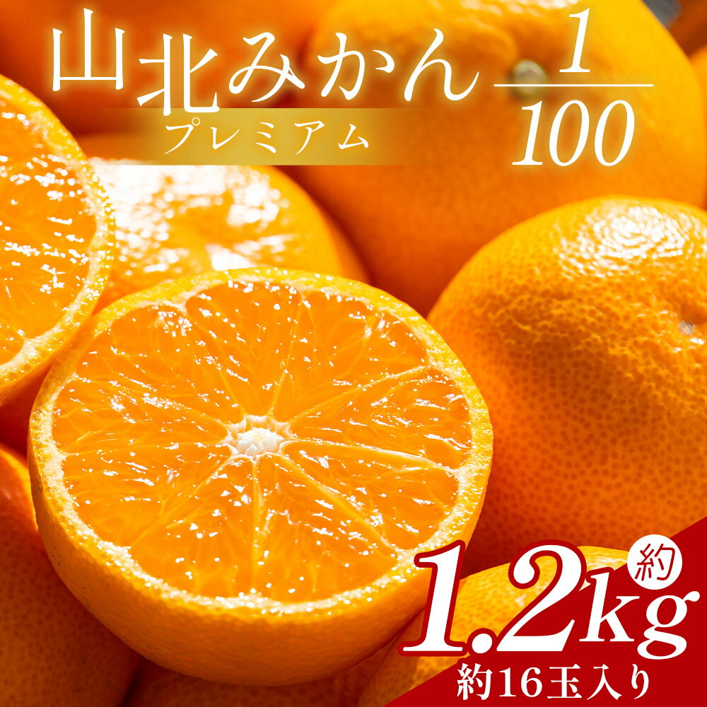 【ふるさと納税】山北プレミアムみかん 1/100(サイズ：S) 1.2kg 約16玉入り - 国産 柑橘 柑橘類 果実 果物 フルーツ 青果 温州みかん みかん 蜜柑 ミカン 高知県 香南市 【常温】yk-0056