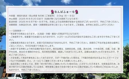 【2025年先行予約】［なんばふぁーむ］岡山県産 旬の桃 2.0kg（6～9玉）［ご家庭用］