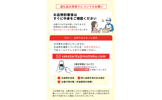 西洋梨 ラ・フランス 秀品 約3kg 9～10玉 2L～3L 11月中旬～12月上旬頃お届け フルーツ くだもの デザート スイーツ 果物 贈答品 化粧箱入 佐藤農園 山形 酒田 六代多右エ門 SA3075