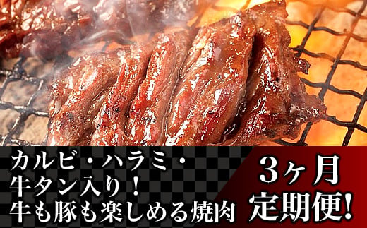 76-83A【3ヶ月連続お届け】カルビ・ハラミ・牛タン入り！牛も豚も楽しめる焼肉定期便