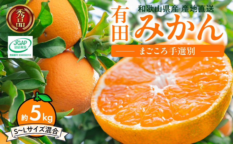 【2026年先行予約】【秀品】和歌山県産　有田みかん 約5kg （S～Ｌサイズ混合）【まごころ手選別】_ZE6484
