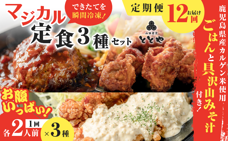 【全12回定期便】マジカル冷凍定食三種セット　K258-T04_c