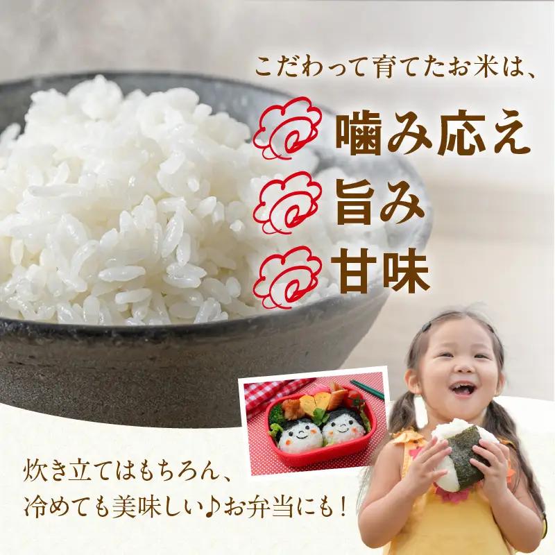 京丹後米～水と文化が育んだ～こしひかり・夢ごこち食べ比べセット 2kg（各1kg×2袋）