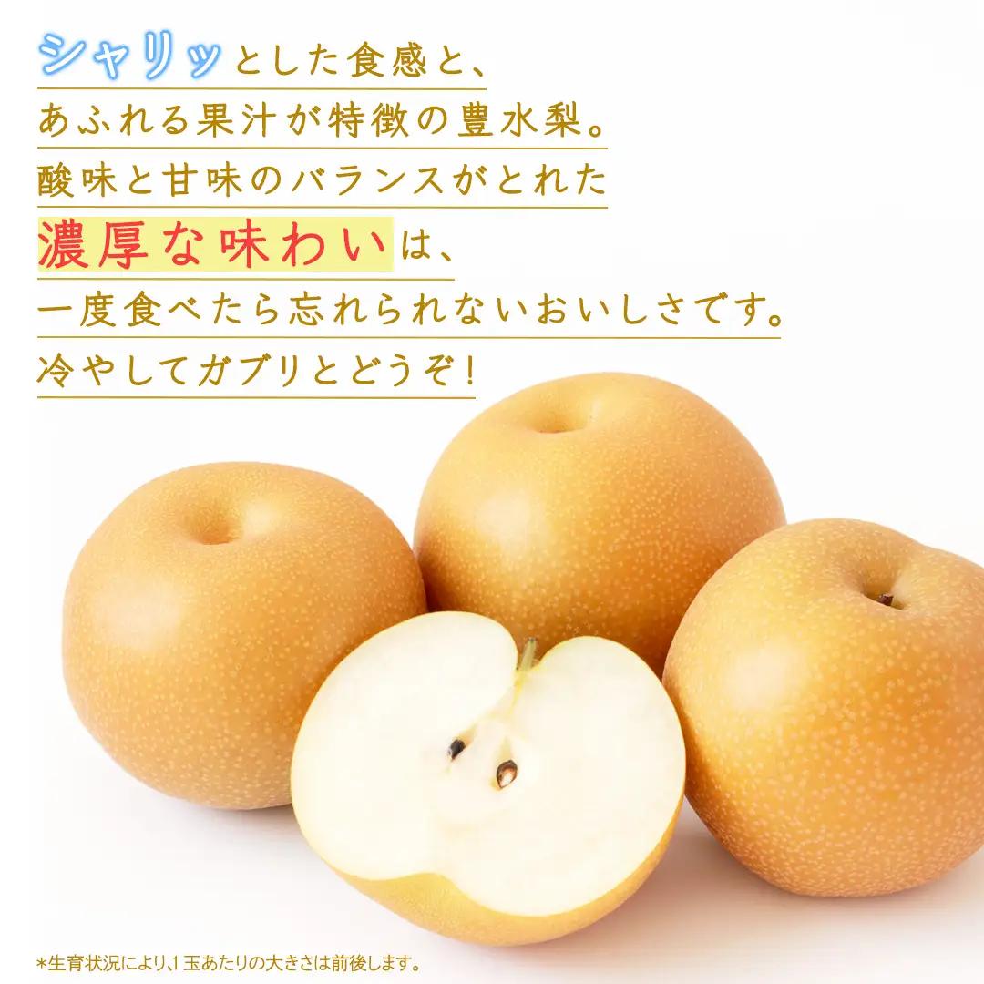 豊水 梨 約3kg 【2026年9月より発送開始】（茨城県共通返礼品 [梨]：大子町産）