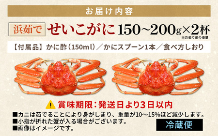 ≪浜茹で≫ 越前 せいこがに 150～200g × 2杯【雌 ズワイガニ】【カニ かに 蟹 越前ガニ セコガニ カニみそ】かに酢・かにスプーン・食べ方のしおり付 【12月発送分】希望日指定可 備考欄に