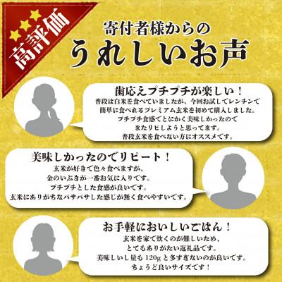 ふるさと納税 松原市 金のいぶきプレミアム玄米ごはん 120g×36個 |  | 03