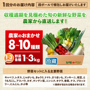 a30-310　【定期便 全3回】ジモベジ 野菜 セット