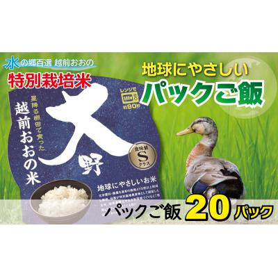 ふるさと納税 大野市 地球にやさしいパックご飯 20食入り【白米】 「特別栽培米」-地球にやさしいお米-