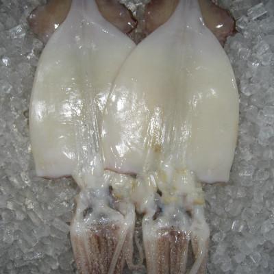 ふるさと納税 北見市 船長自慢の海鮮セット |  | 02