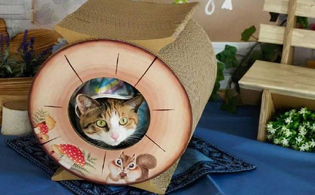猫の爪とぎ　丸太（ショート・トンネルタイプ）｜猫 ねこ ネコ キャット cat 爪とぎ ダンボール 段ボール 写真映え トンネル 通り抜け 木 丈夫 日本製 国産 おもちゃ ペット インテリア 愛猫 