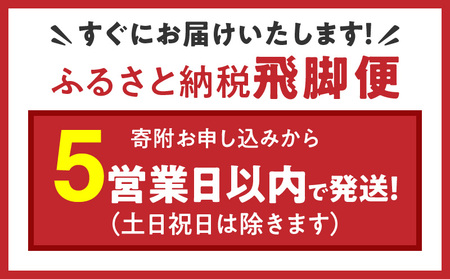 愛知県産コシヒカリ 10kg(5kg×2袋)　安心安全なヤマトライス　H074-549