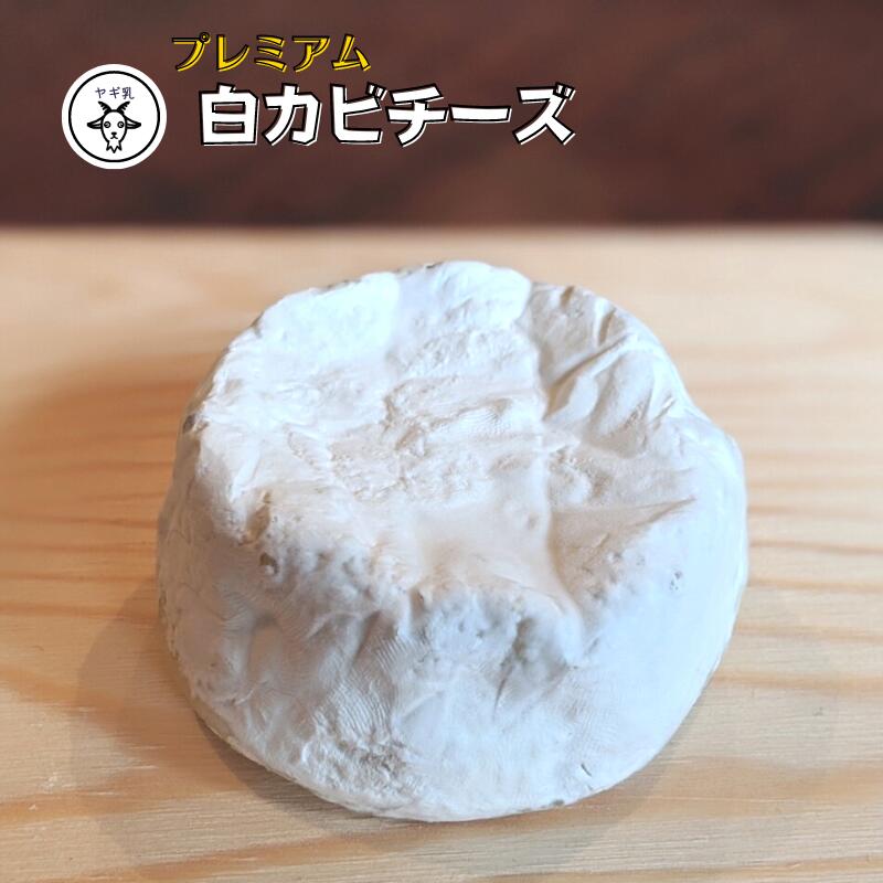【ふるさと納税】【5月〜10月限定 ヤギ乳】 プレミアム白カビチーズ 約50g×3パック ハードタイプ