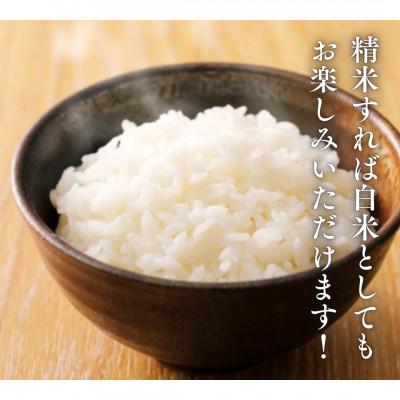 ふるさと納税 西桂町 健康志向の方おすすめ【令和7年産】山梨県西桂町産 富士山麓「水のまち」のこしひかり玄米 5kg×1袋 |  | 01
