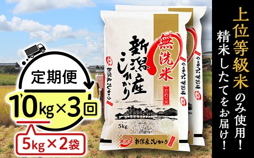 31-M103【無洗米】新潟県産コシヒカリ10kg（5kg×2袋）【3ヶ月連続お届け】