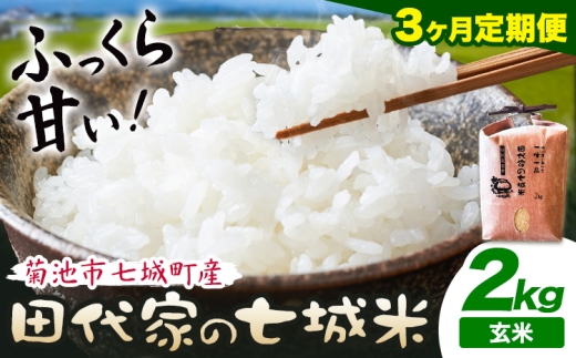 【3ヶ月定期便】令和7年産 菊池市七城町産 田代家の七城米 七城ヒノヒカリ 玄米 2kg 田代こめや《お申込み翌月から出荷》熊本県 菊池市 米 お米 精米 ひのひかり 菊池市産 熊本県産 九州産 送料無料